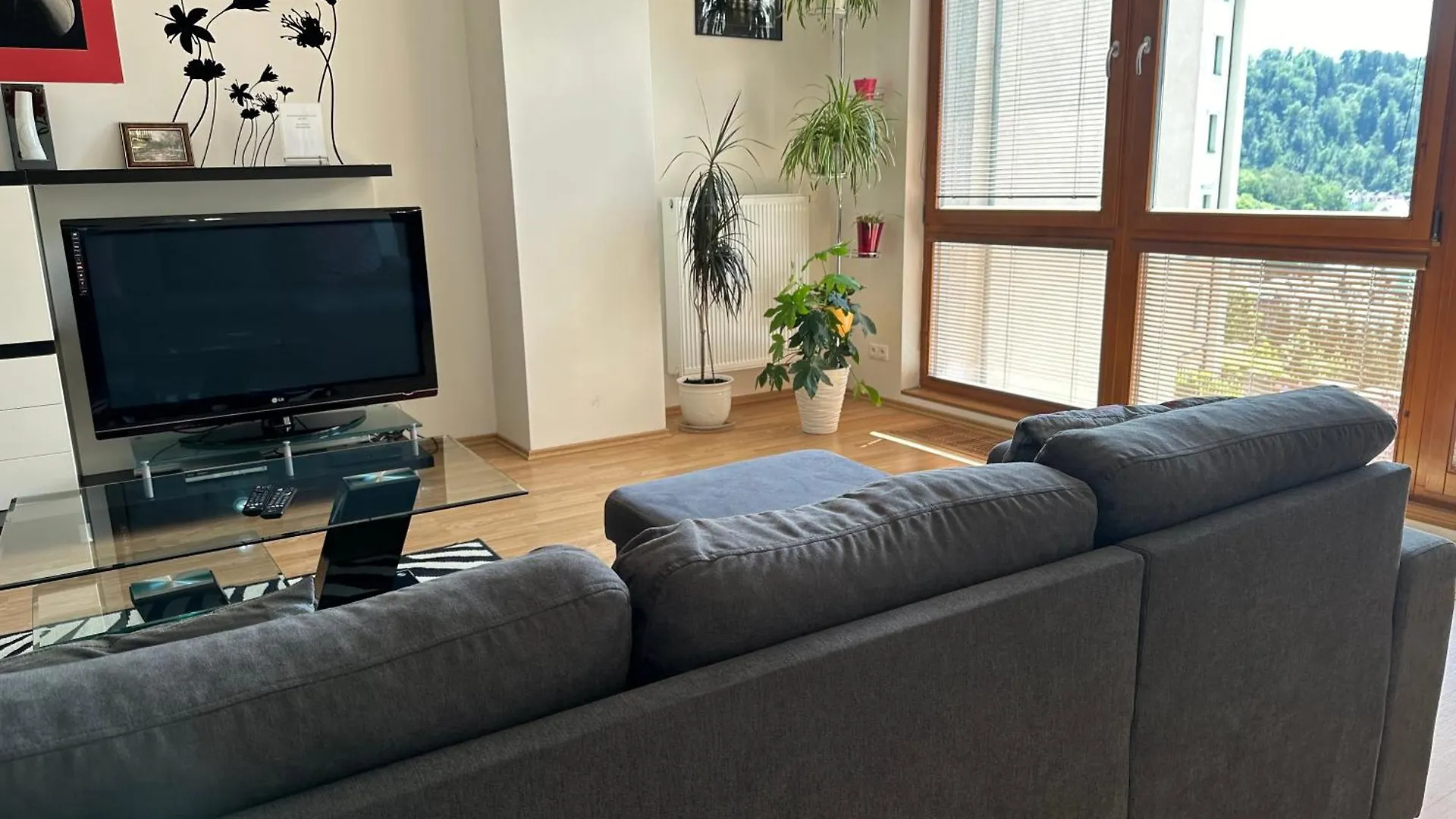 公寓 卡罗维发利Apartman Na Vyhlidce公寓